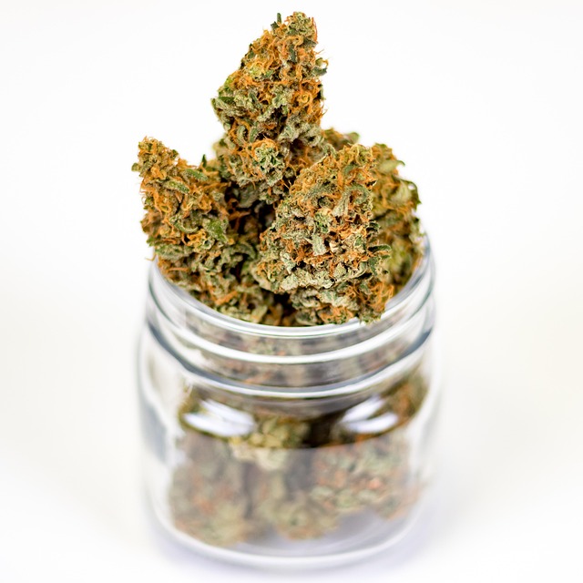 medical marijuana