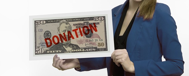 donor advised funds