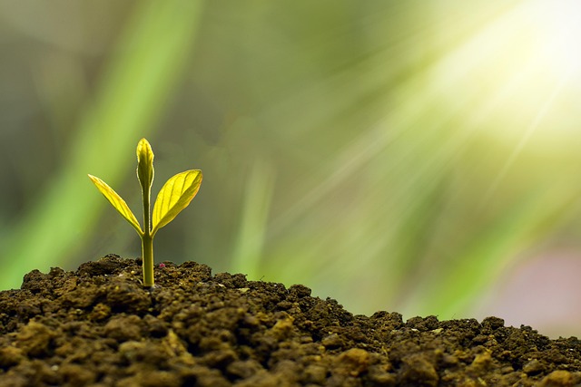 Starting a corporate foundation