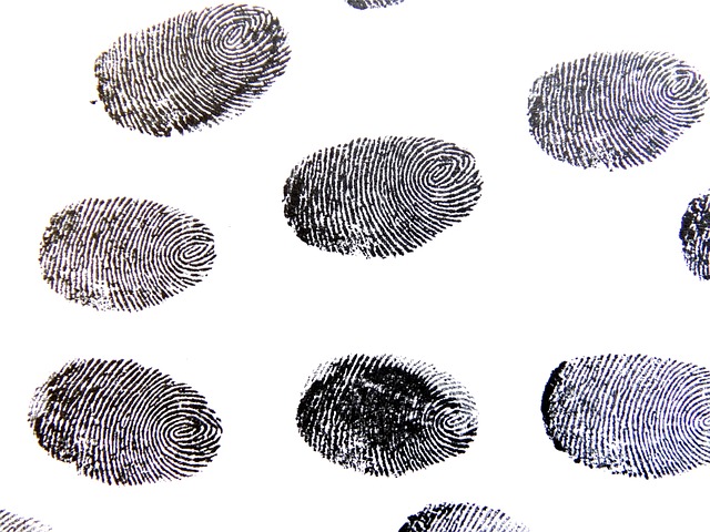 ingerprint
