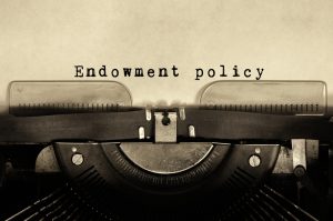 Nonprofit Endowments