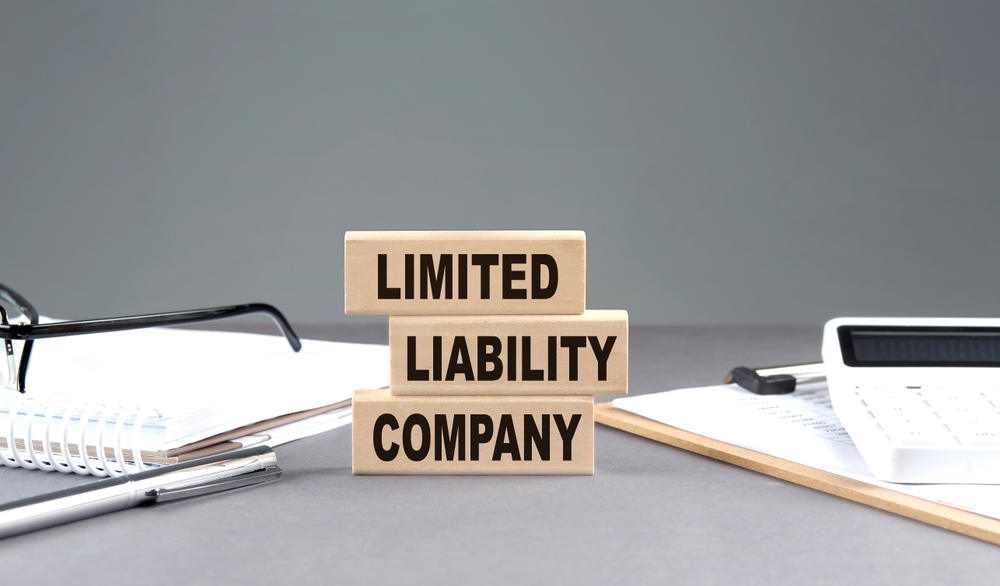 Single-Member LLCs in Nonprofit Structures